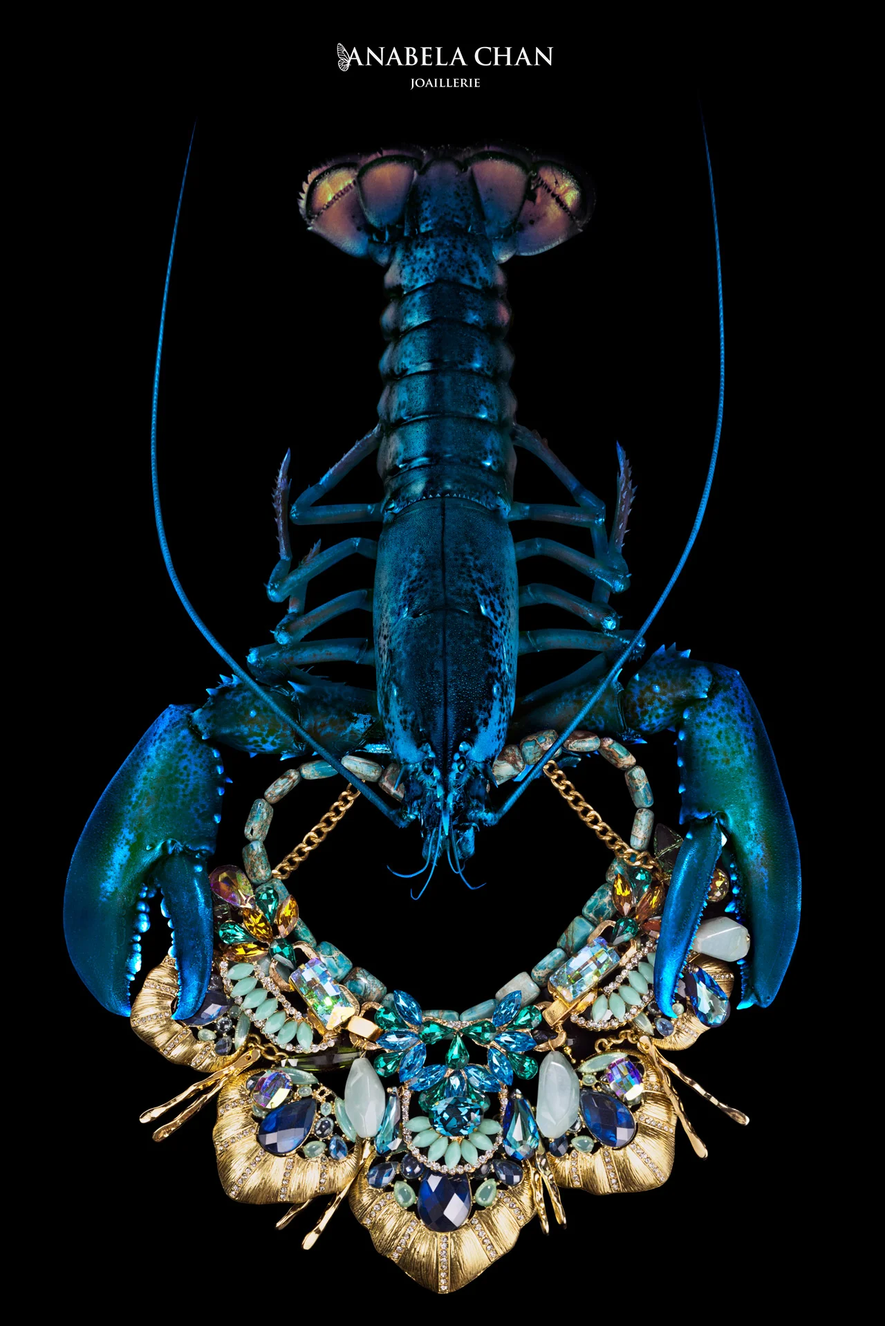 Anabela Chan - Crystal Necklace
