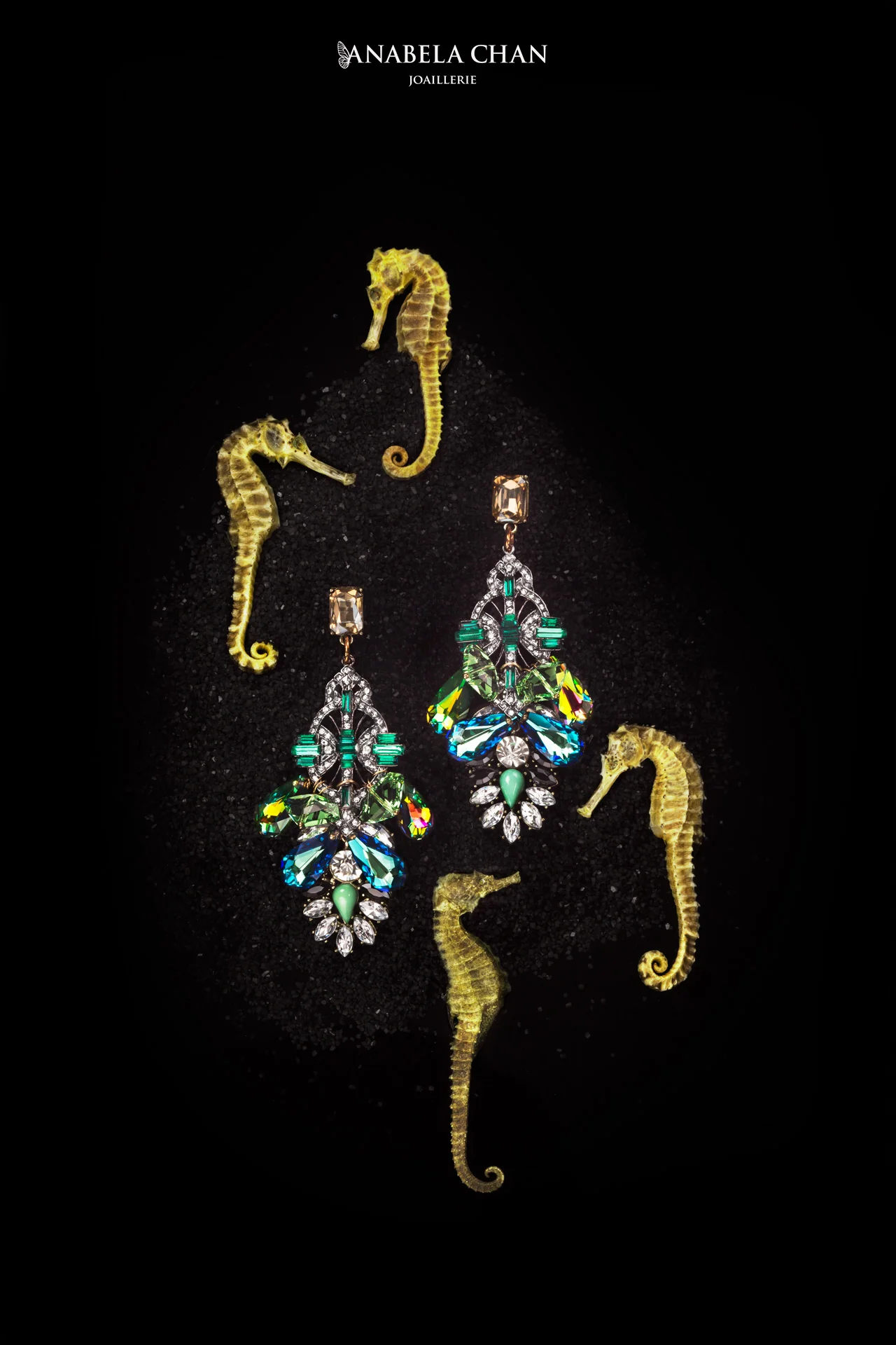 Anabela Chan - Crystal earrings